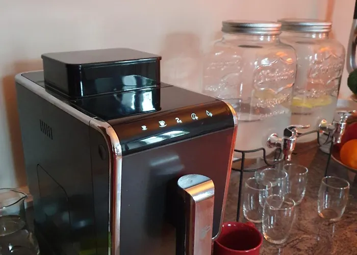 Domaine D'alemanie 住宿加早餐酒店 Ebersmunster